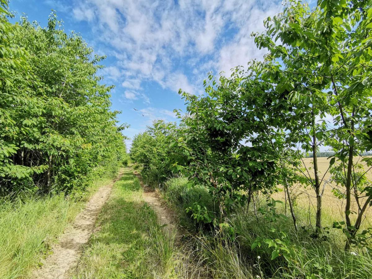 Apartment Waldblick Vom Naturhof Usedom Bannemin Εξωτερικό φωτογραφία